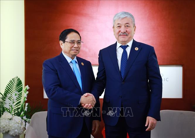 Prime Minister Pham Minh Chinh meets with Kyrgyz Prime Minister on WEF Tianjin occasion